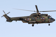 Royal Netherlands Air Force Eurocopter AS532U2 Cougar Mk2 (S-419) at  Luqa - Malta International, Malta