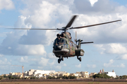 Royal Netherlands Air Force Eurocopter AS532U2 Cougar Mk2 (S-419) at  Luqa - Malta International, Malta