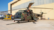 Royal Netherlands Air Force Eurocopter AS532U2 Cougar Mk2 (S-419) at  Luqa - Malta International, Malta