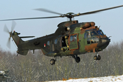 Royal Netherlands Air Force Eurocopter AS532U2 Cougar MKII (TH98) (S-441) at  Breda - Gilze-Rijen, Netherlands