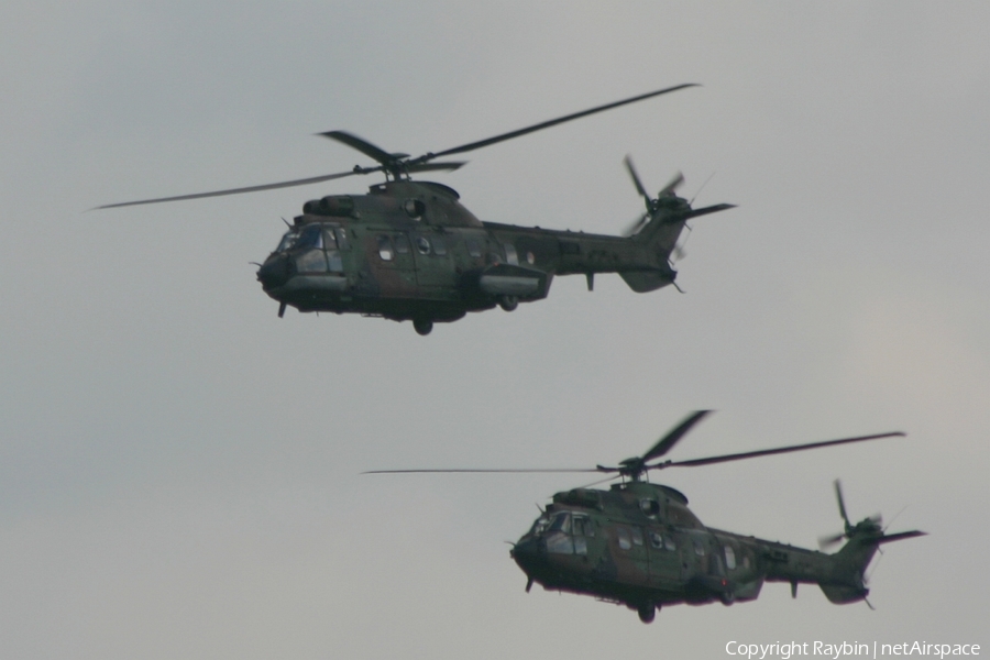 Royal Netherlands Air Force Eurocopter AS532U2 Cougar Mk2 (S-442) | Photo 563515