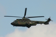 Royal Netherlands Air Force Eurocopter AS532U2 Cougar Mk2 (S-453) at  Kleine Brogel AFB, Belgium