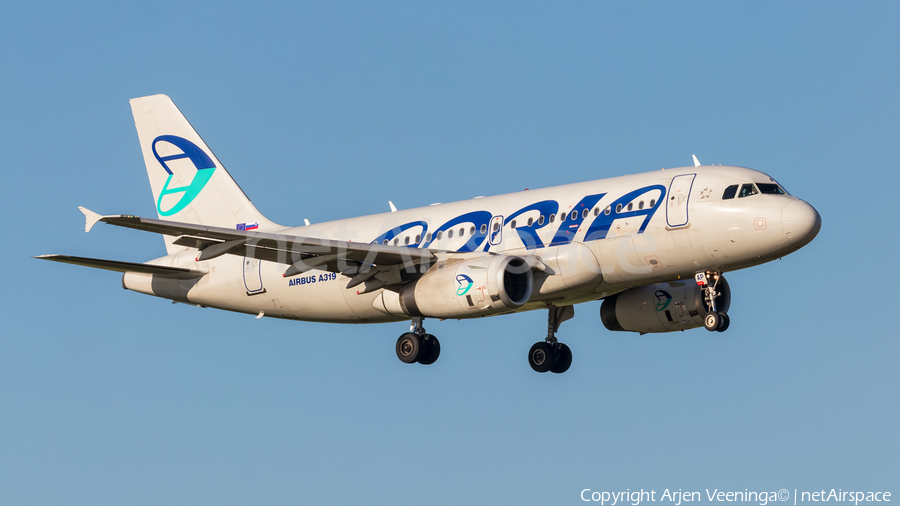 Adria Airways Airbus A319-132 (S5-AAP) | Photo 378793