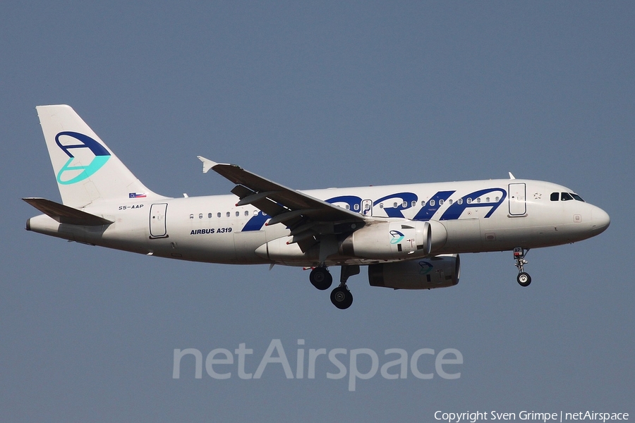 Adria Airways Airbus A319-132 (S5-AAP) | Photo 82844