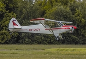 Aeroklub Murska Sobota Piper PA-18-150 Super Cub (S5-DCV) at  Murska Sobota, Slovenia