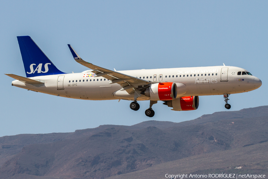 SAS - Scandinavian Airlines Airbus A320-251N (SE-DYC) | Photo 408983