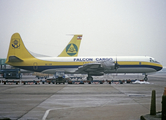 Falcon Air (Sweden) Lockheed L-188C(F) Electra (SE-IVR) at  London - Heathrow, United Kingdom