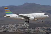 Braathens International Airways Airbus A319-112 (SE-RGD) at  Gran Canaria, Spain