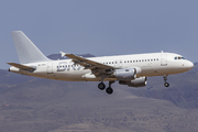 Braathens International Airways Airbus A319-111 (SE-RGV) at  Gran Canaria, Spain