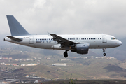 Braathens International Airways Airbus A319-111 (SE-RGV) at  Tenerife Sur - Reina Sofia, Spain