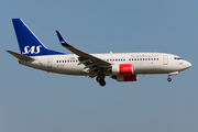 SAS - Scandinavian Airlines Boeing 737-76N (SE-RJX) at  Amsterdam - Schiphol, Netherlands