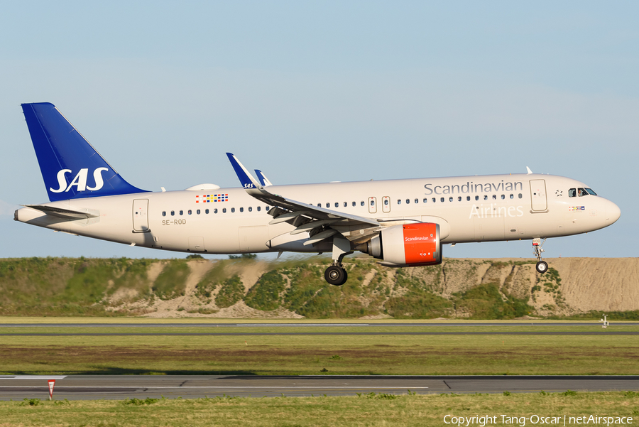 SAS - Scandinavian Airlines Airbus A320-251N (SE-ROD) | Photo 469667