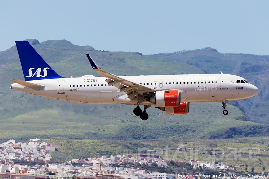 SAS - Scandinavian Airlines Airbus A320-251N (SE-ROD) | Photo 309059