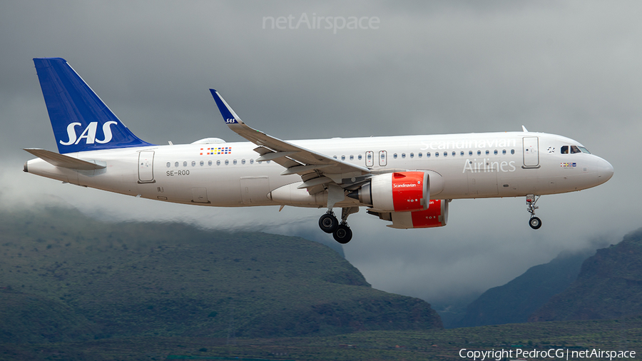 SAS - Scandinavian Airlines Airbus A320-251N (SE-ROO) | Photo 548585