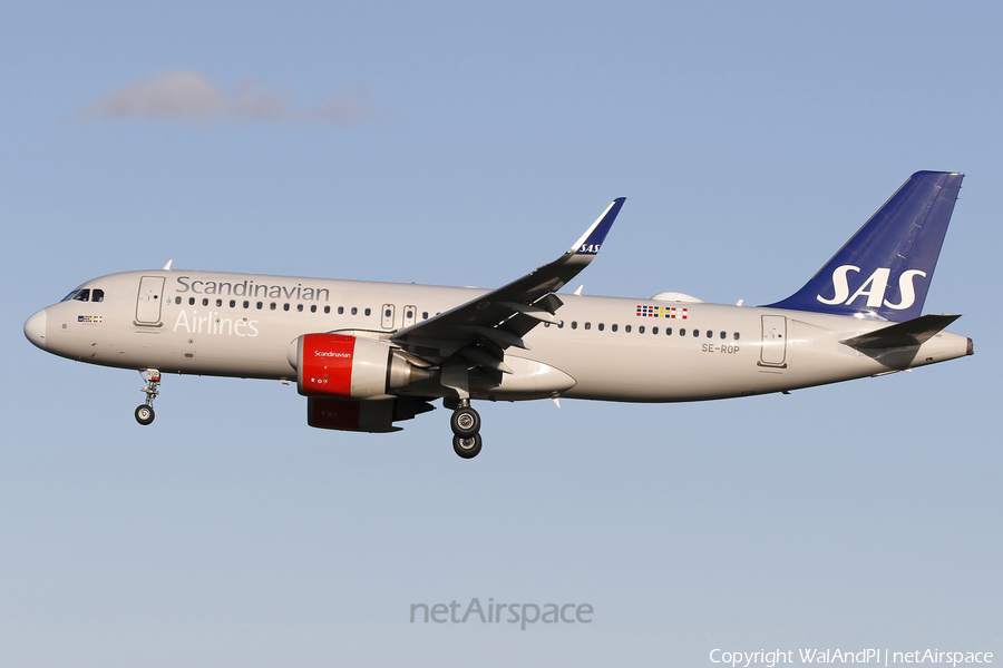 SAS - Scandinavian Airlines Airbus A320-251N (SE-ROP) | Photo 679354