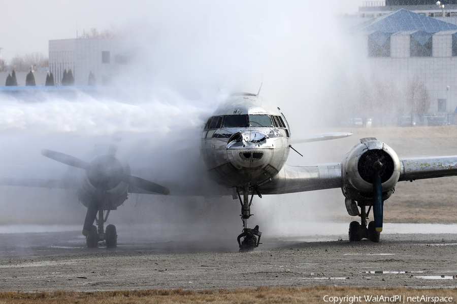 LOT Polish Airlines Ilyushin Il-14P (SP-LNE) | Photo 499114