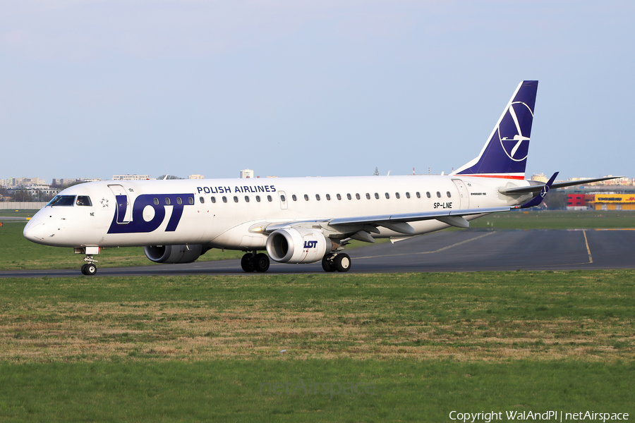 LOT Polish Airlines Ilyushin Il-14P (SP-LNE) | Photo 505181