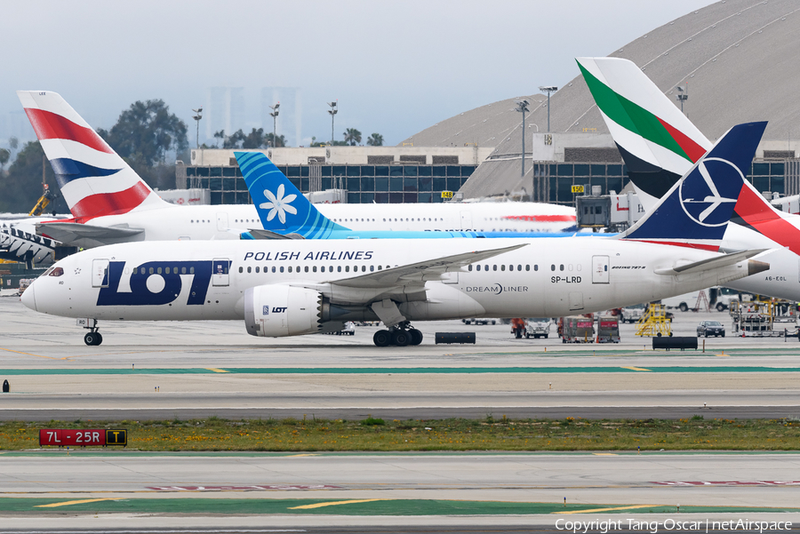 LOT Polish Airlines Boeing 787-8 Dreamliner (SP-LRD) | Photo 561256