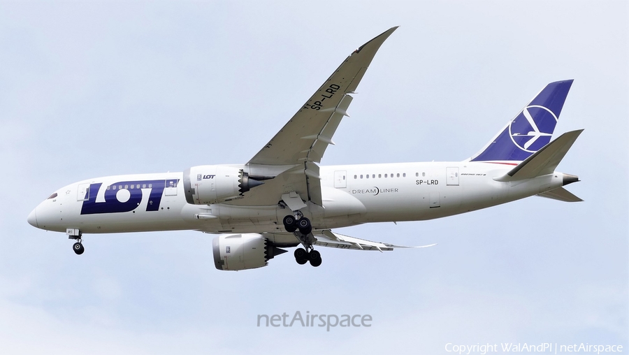 LOT Polish Airlines Boeing 787-8 Dreamliner (SP-LRD) | Photo 444351