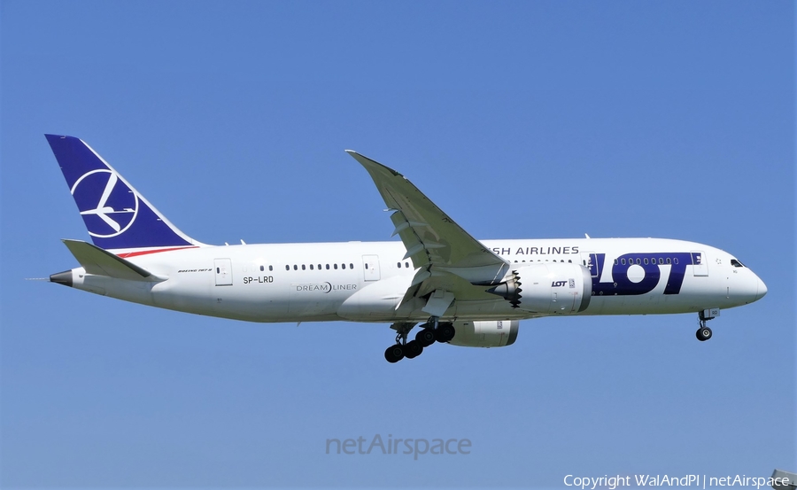 LOT Polish Airlines Boeing 787-8 Dreamliner (SP-LRD) | Photo 446639