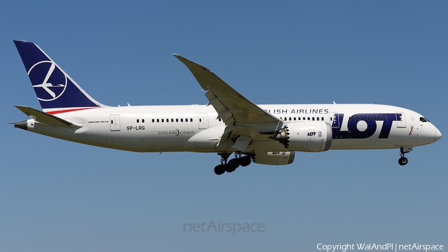 LOT Polish Airlines Boeing 787-8 Dreamliner (SP-LRG) | Photo 454530