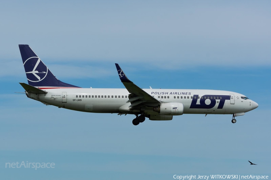 LOT Polish Airlines Boeing 737-89P (SP-LWB) | Photo 677659