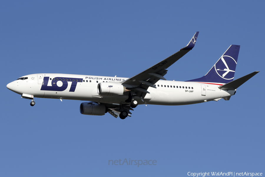 LOT Polish Airlines Boeing 737-86N (SP-LWF) | Photo 560209