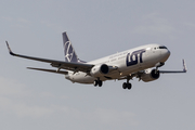 LOT Polish Airlines Boeing 737-86N (SP-LWG) at  Luqa - Malta International, Malta