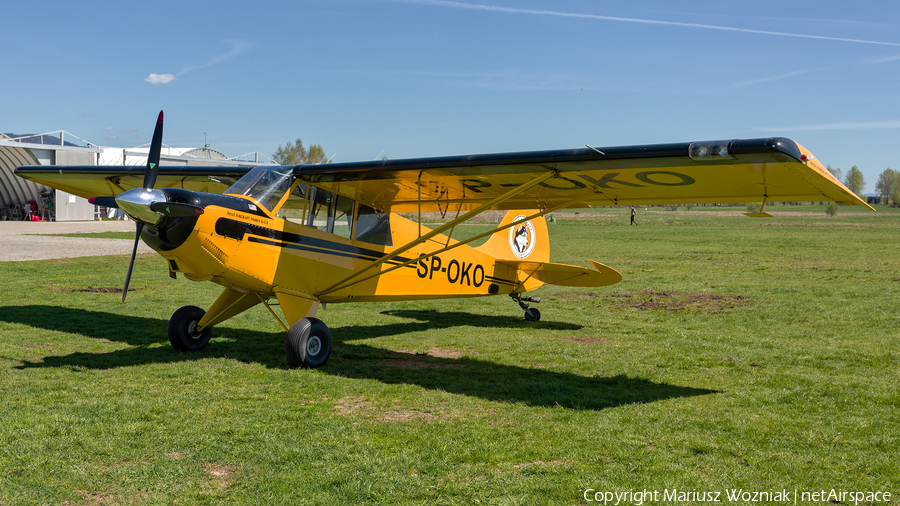 Aeroklub Nowy Targ Aviat A-1A Husky (SP-OKO) | Photo 680230