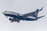 Buzz (Ryanair) Boeing 737-73S (SP-RUM) at  Luqa - Malta International, Malta