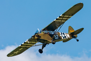(Private) Piper L-4H Grasshopper (SP-SAVO) at  Suwalki, Poland