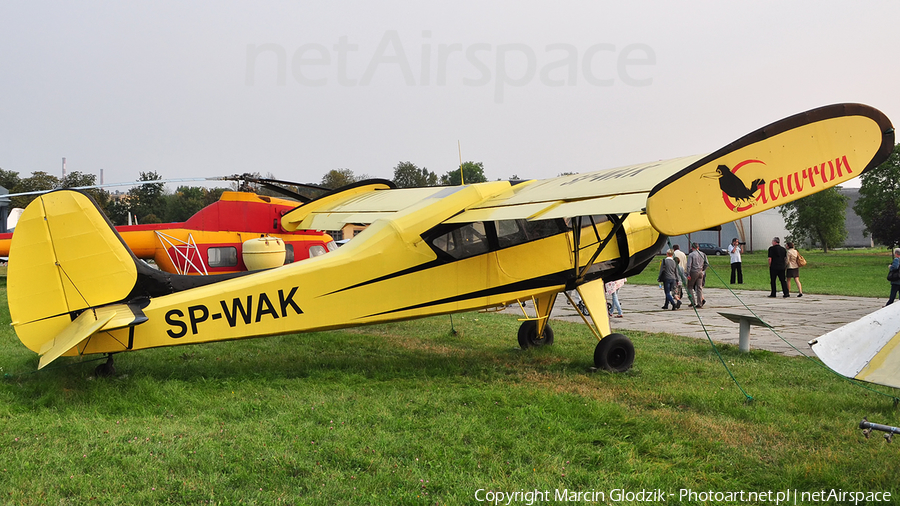 (Private) PZL-Okecie PZL-101 Gawron (SP-WAK) | Photo 374829