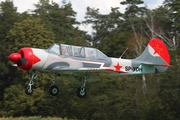 (Private) Yakovlev Yak-52 (SP-YDH) at  Bienenfarm, Germany