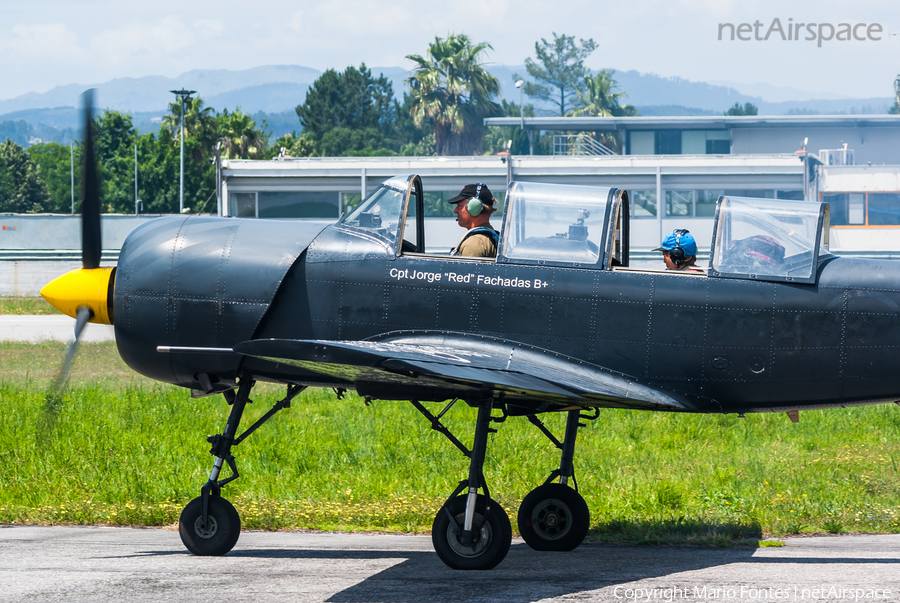 Smokewings Yakovlev Yak-52 (SP-YEL) | Photo 333306