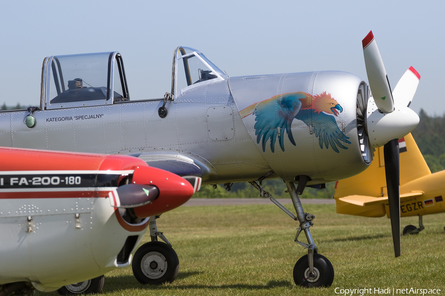 (Private) Yakovlev Yak-52 (SP-YFG) | Photo 109229