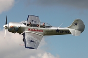 (Private) Yakovlev Yak-52 (SP-YFG) at  Neumünster, Germany