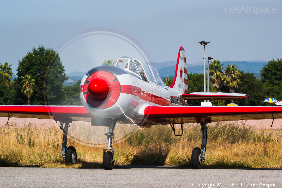 (Private) Yakovlev Yak-52 (SP-YGS) | Photo 262132