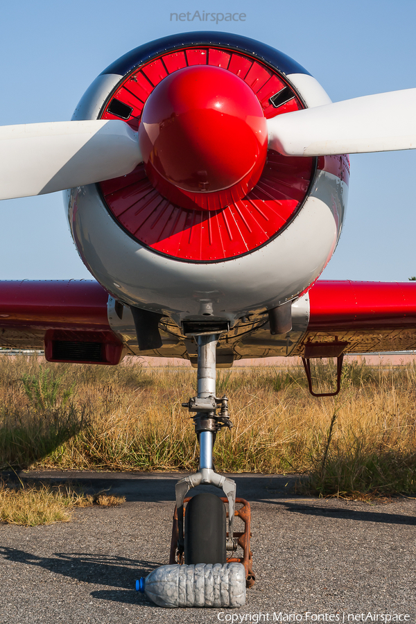 (Private) Yakovlev Yak-52 (SP-YGS) | Photo 262582