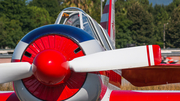 (Private) Yakovlev Yak-52 (SP-YGS) at  Braga, Portugal