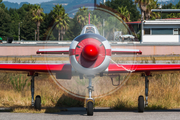 (Private) Yakovlev Yak-52 (SP-YGS) at  Braga, Portugal