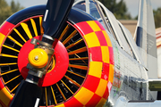 (Private) Yakovlev Yak-52 (SP-YMG) at  Neumuenster, Germany