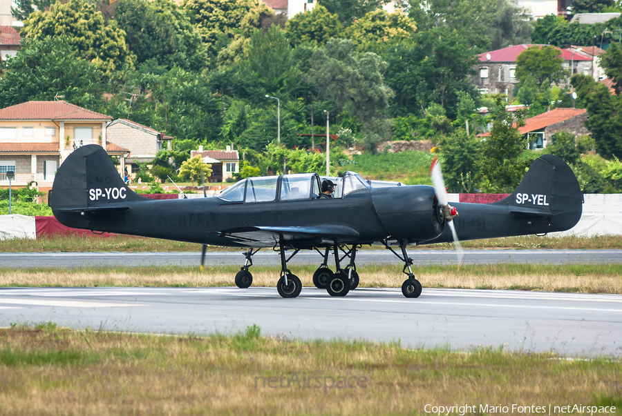 Smokewings Yakovlev Yak-52 (SP-YOC) | Photo 55699