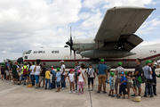 Egyptian Air Force Lockheed C-130H-30 Hercules (1295) at  Luqa - Malta International, Malta