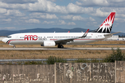 AMC Airlines Boeing 737-86Q (SU-BSA) at  Frankfurt am Main, Germany