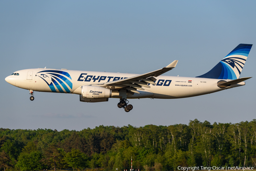 EgyptAir Cargo Airbus A330-243(P2F) (SU-GCE) | Photo 383529