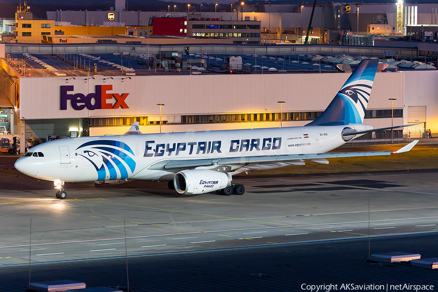 EgyptAir Cargo Airbus A330-243(P2F) (SU-GCE) | Photo 489608