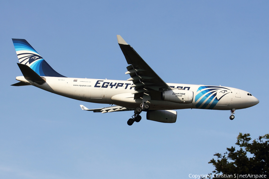 EgyptAir Cargo Airbus A330-243(P2F) (SU-GCJ) | Photo 387717