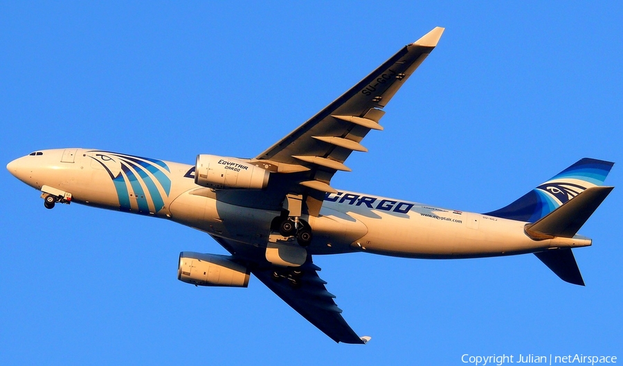 EgyptAir Cargo Airbus A330-243(P2F) (SU-GCJ) | Photo 435617