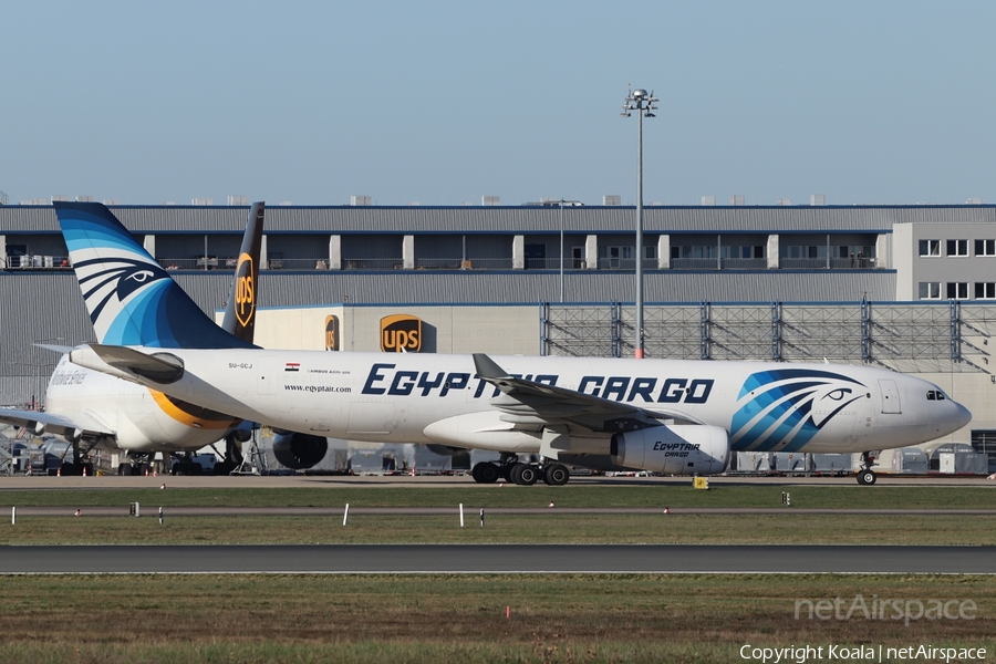 EgyptAir Cargo Airbus A330-243(P2F) (SU-GCJ) | Photo 561304