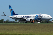 EgyptAir Boeing 737-866 (SU-GCM) at  Amsterdam - Schiphol, Netherlands